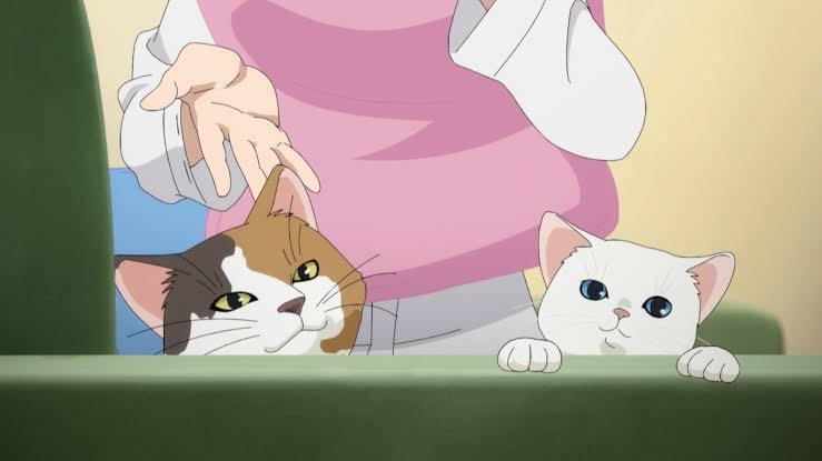 漫画、アニメに出てくる可愛い猫