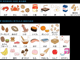 アレルギーで人生損してる