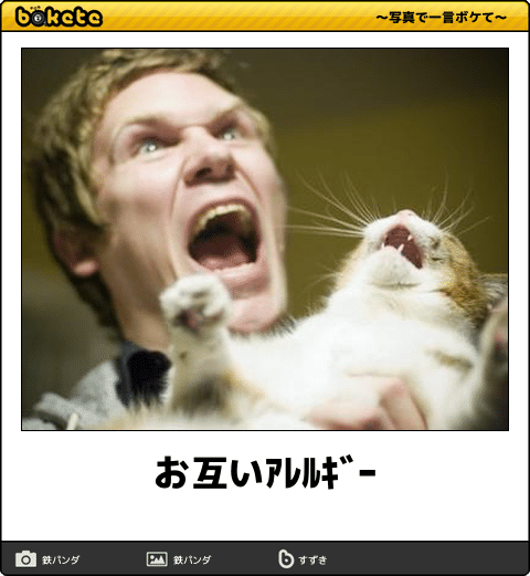 アレルギーで人生損してる