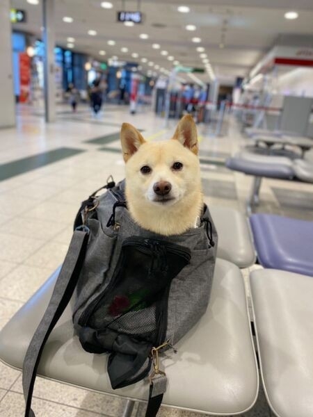 【一人】日帰り旅行、片道何時間までなら行く？