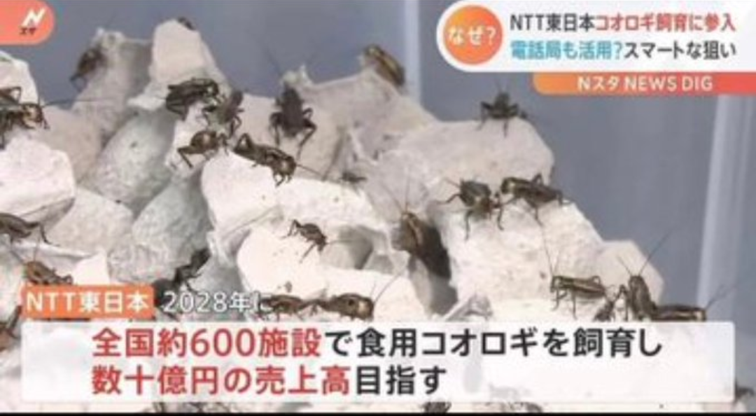 一番好きな市販のパン