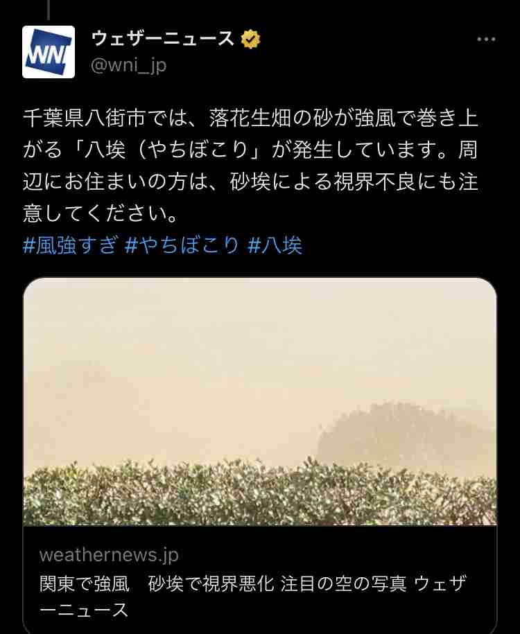 ゴマキ弟・後藤祐樹氏が八街市議選出馬を正式表明　姉は「何もできないかもしれないけど応援している」