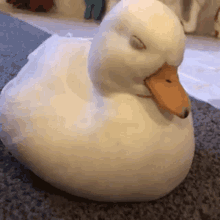 寝る前に穏やかな気持ちになる画像やGIFを貼るトピ