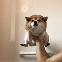寝る前に穏やかな気持ちになる画像やGIFを貼るトピ
