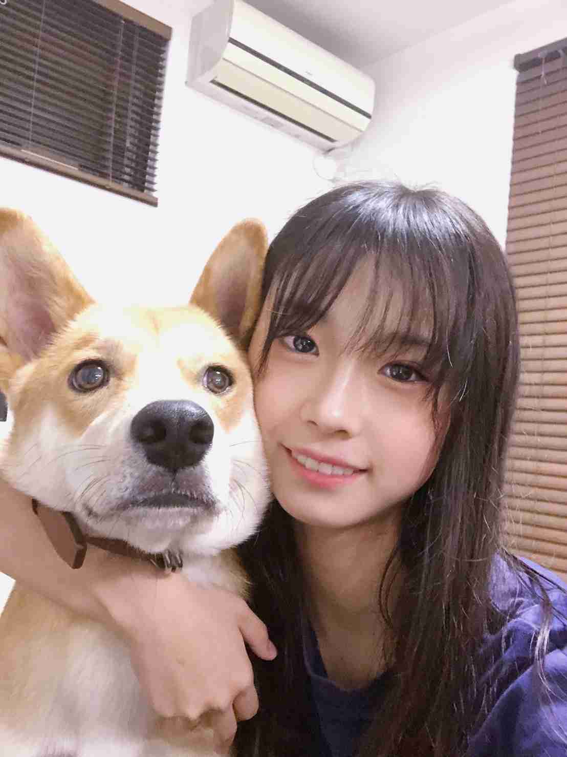寝る前に穏やかな気持ちになる画像やGIFを貼るトピ