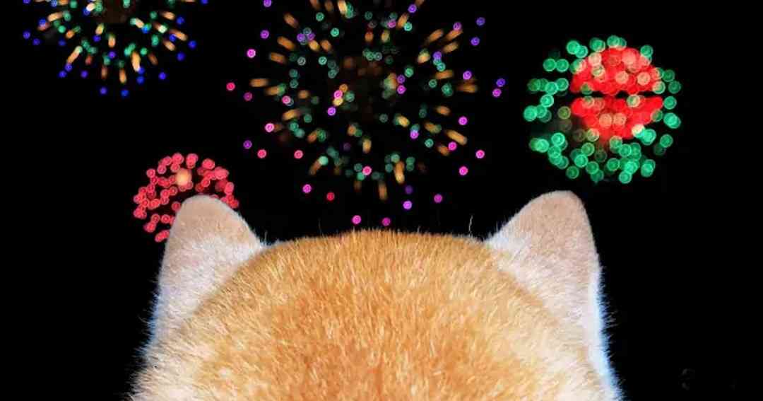 花火大会の情報交換しましょう