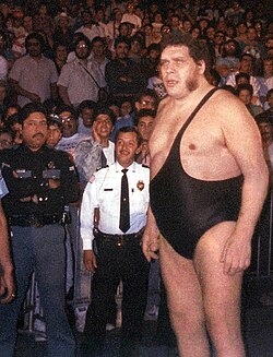 一番好きなプロレスラーPart7【アンチ禁止】
