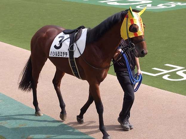 いい名前だなと思った、有名人やスポーツ選手の名前