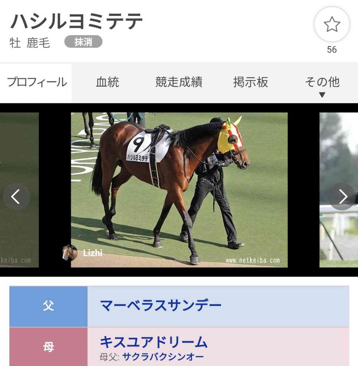 いい名前だなと思った、有名人やスポーツ選手の名前