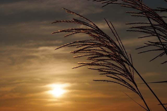 【恋愛】熱しやすくて冷めやすい