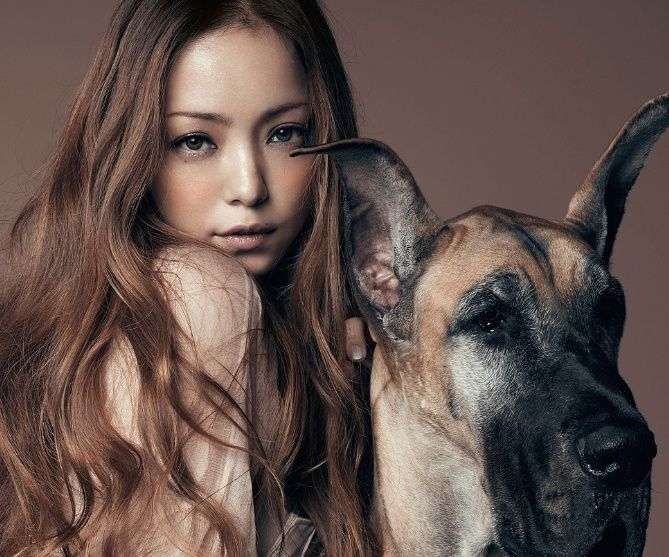 おでこの綺麗な芸能人の画像
