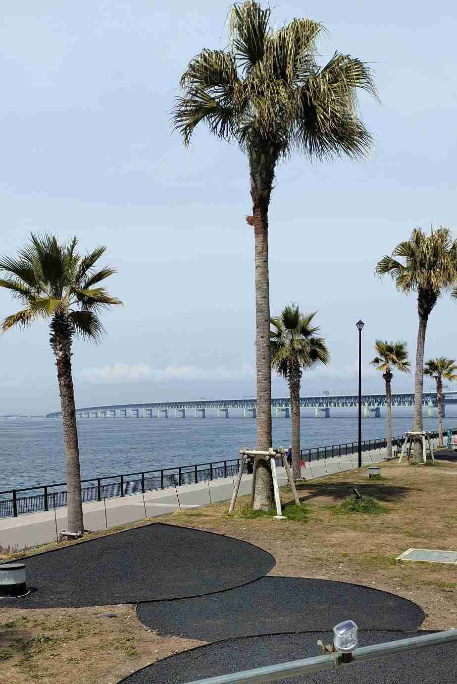 大阪だなぁ…って思う画像