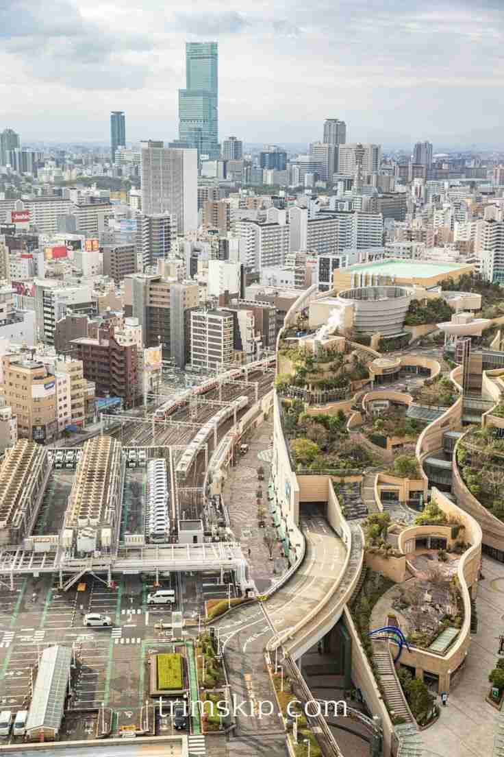大阪だなぁ…って思う画像