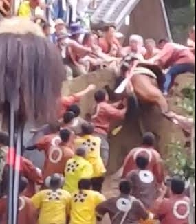虐待批判「上げ馬神事」見直しへ　三重の多度大社「安全な形で」
