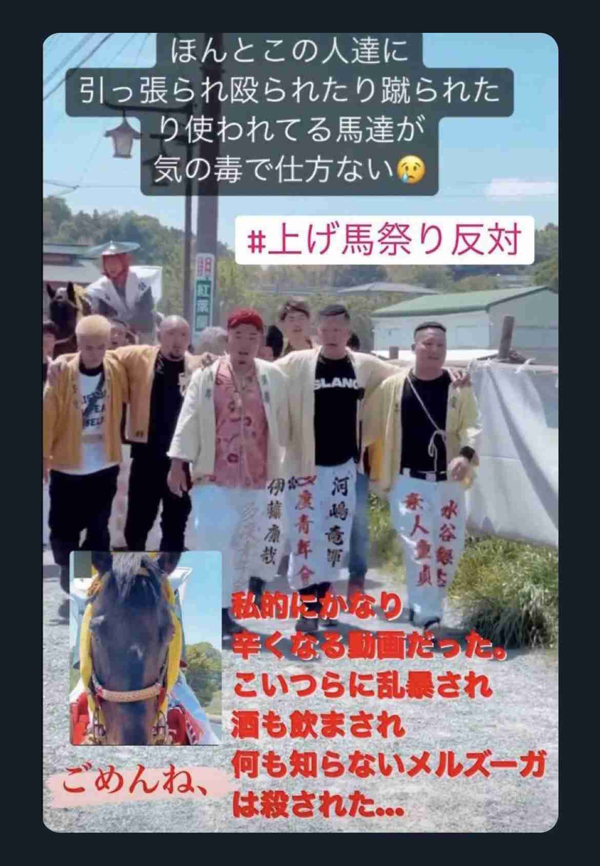 虐待批判「上げ馬神事」見直しへ　三重の多度大社「安全な形で」