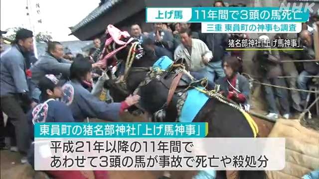 虐待批判「上げ馬神事」見直しへ　三重の多度大社「安全な形で」