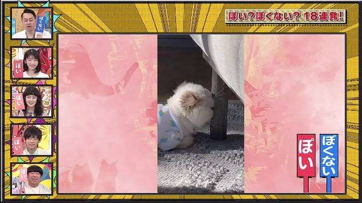 昔のアンビリバボーを懐かしむトピPart2
