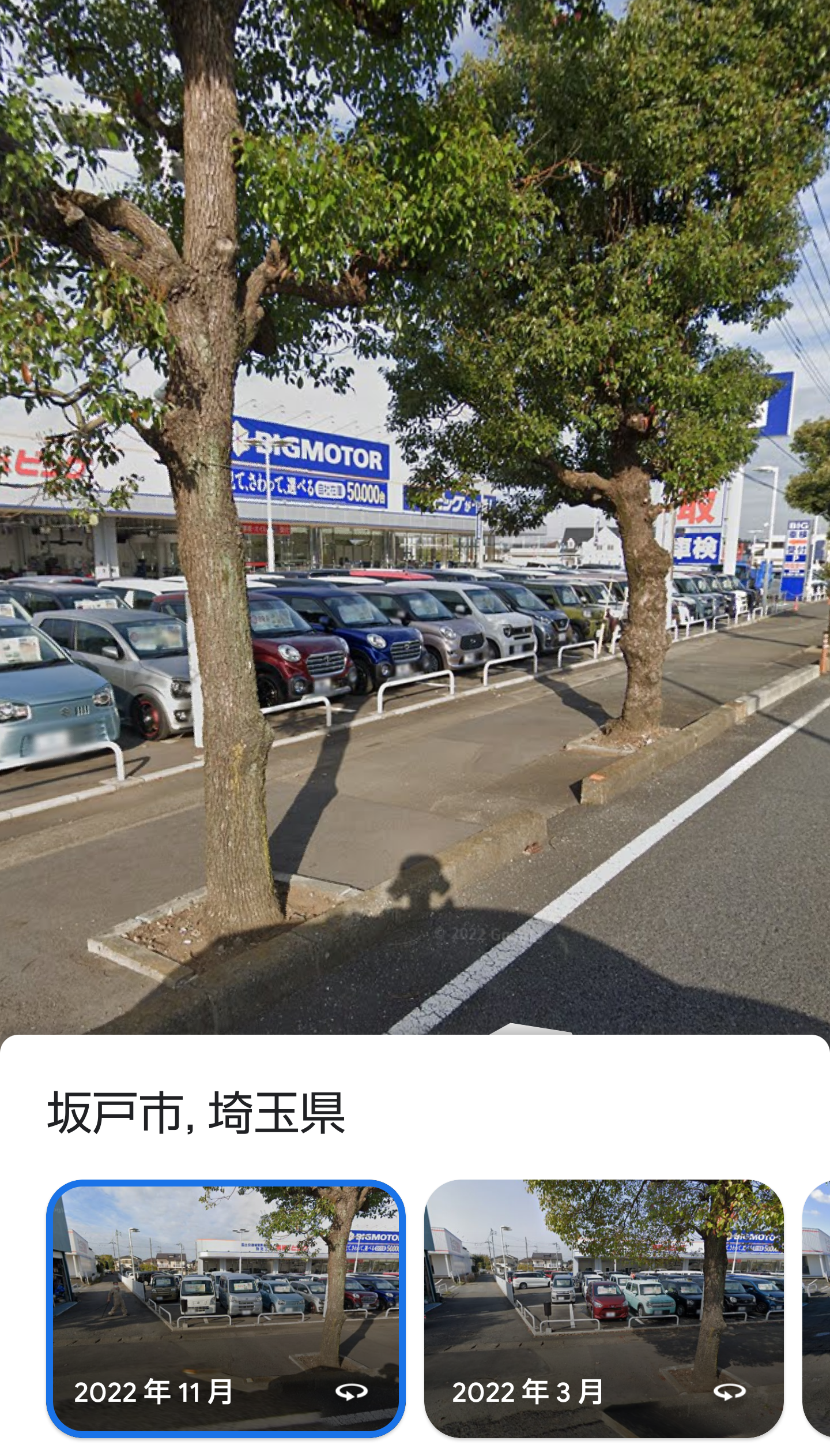 「保険金水増し請求」ビッグモーター、店舗前の街路樹が次々と「枯死」の謎…兼重社長は会見でどう答えた？