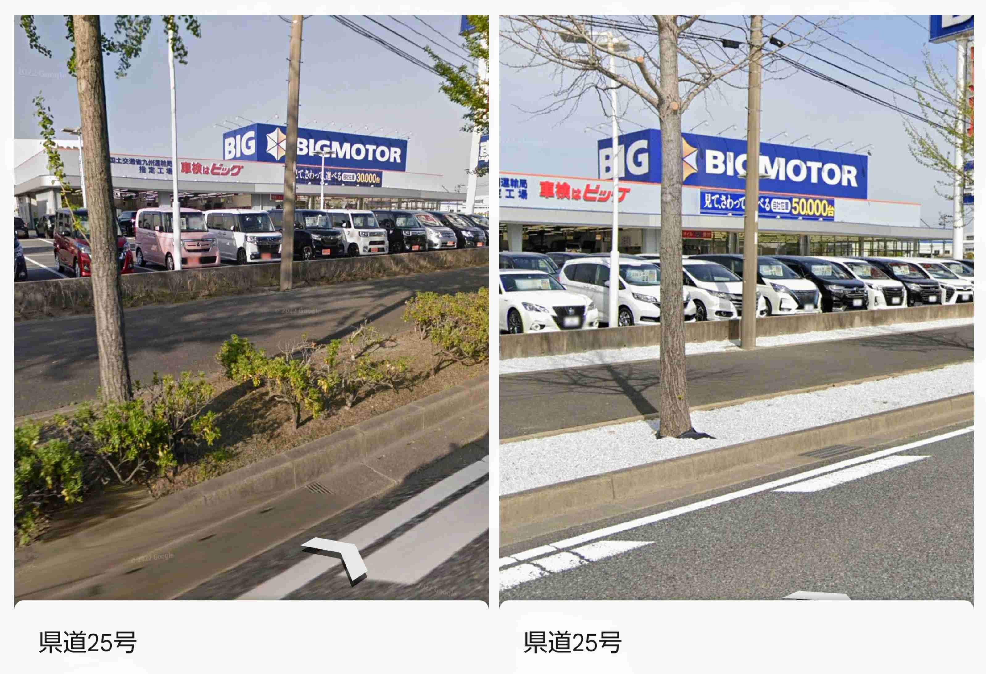 「保険金水増し請求」ビッグモーター、店舗前の街路樹が次々と「枯死」の謎…兼重社長は会見でどう答えた？