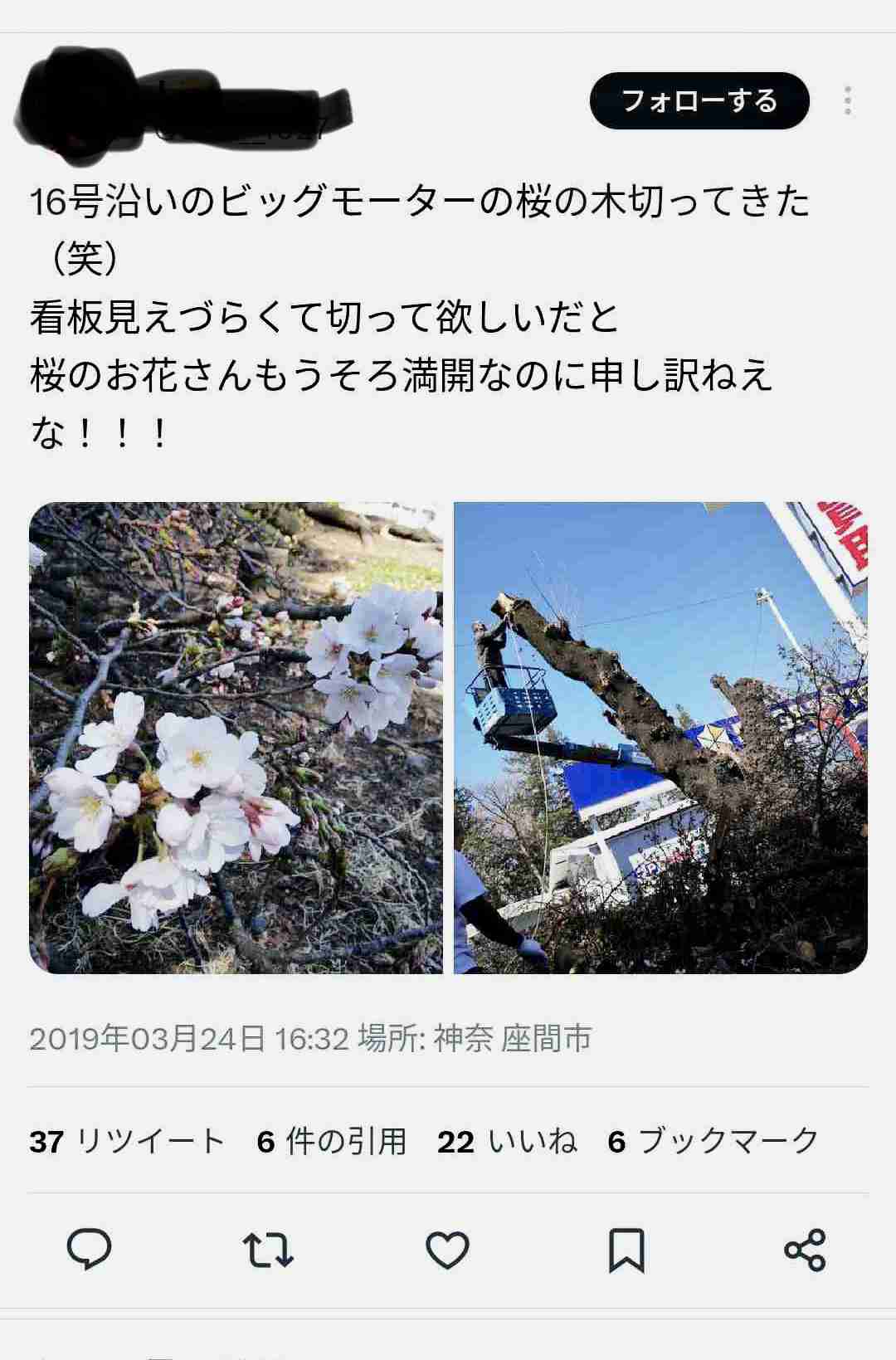 「保険金水増し請求」ビッグモーター、店舗前の街路樹が次々と「枯死」の謎…兼重社長は会見でどう答えた？