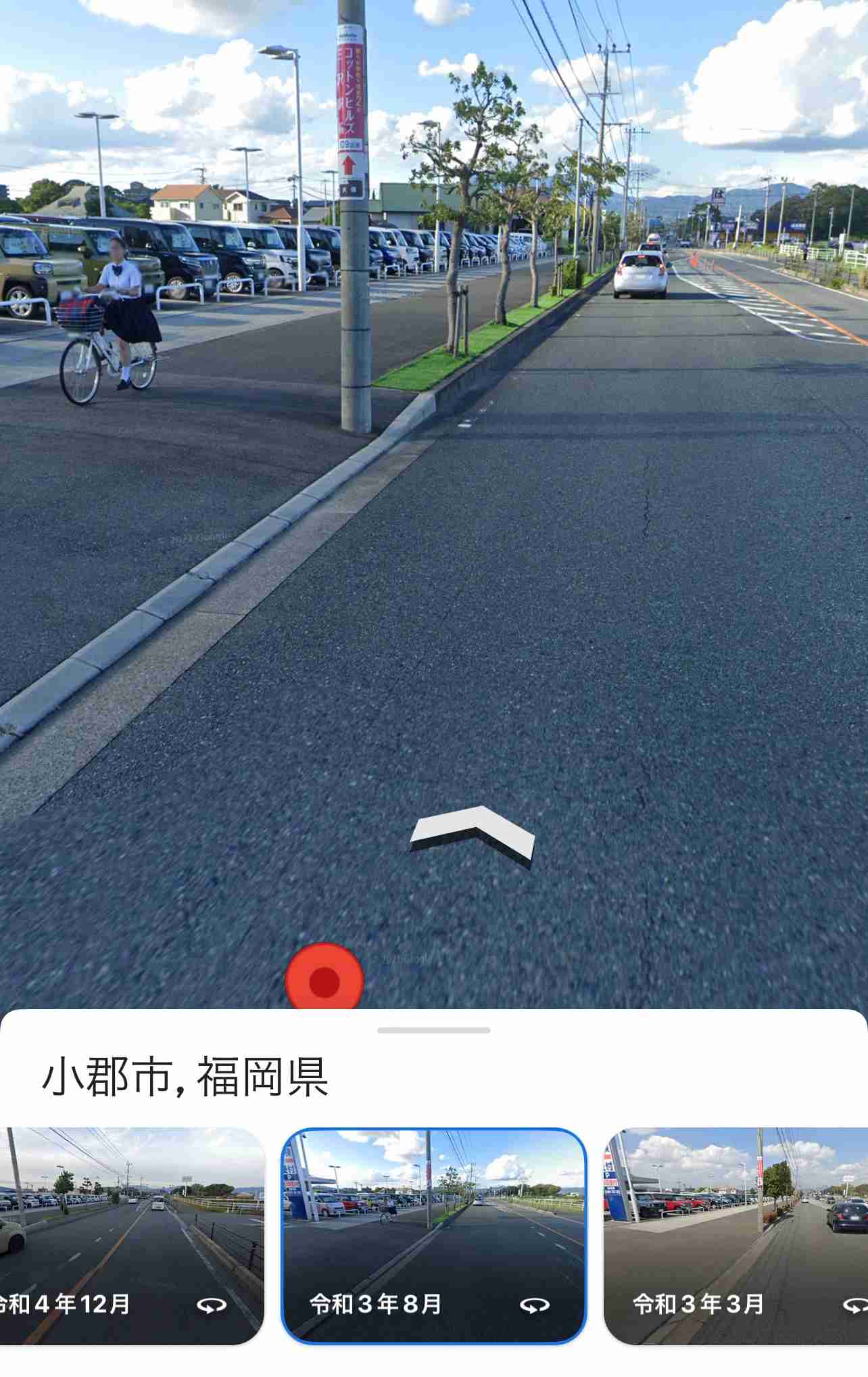 「保険金水増し請求」ビッグモーター、店舗前の街路樹が次々と「枯死」の謎…兼重社長は会見でどう答えた？