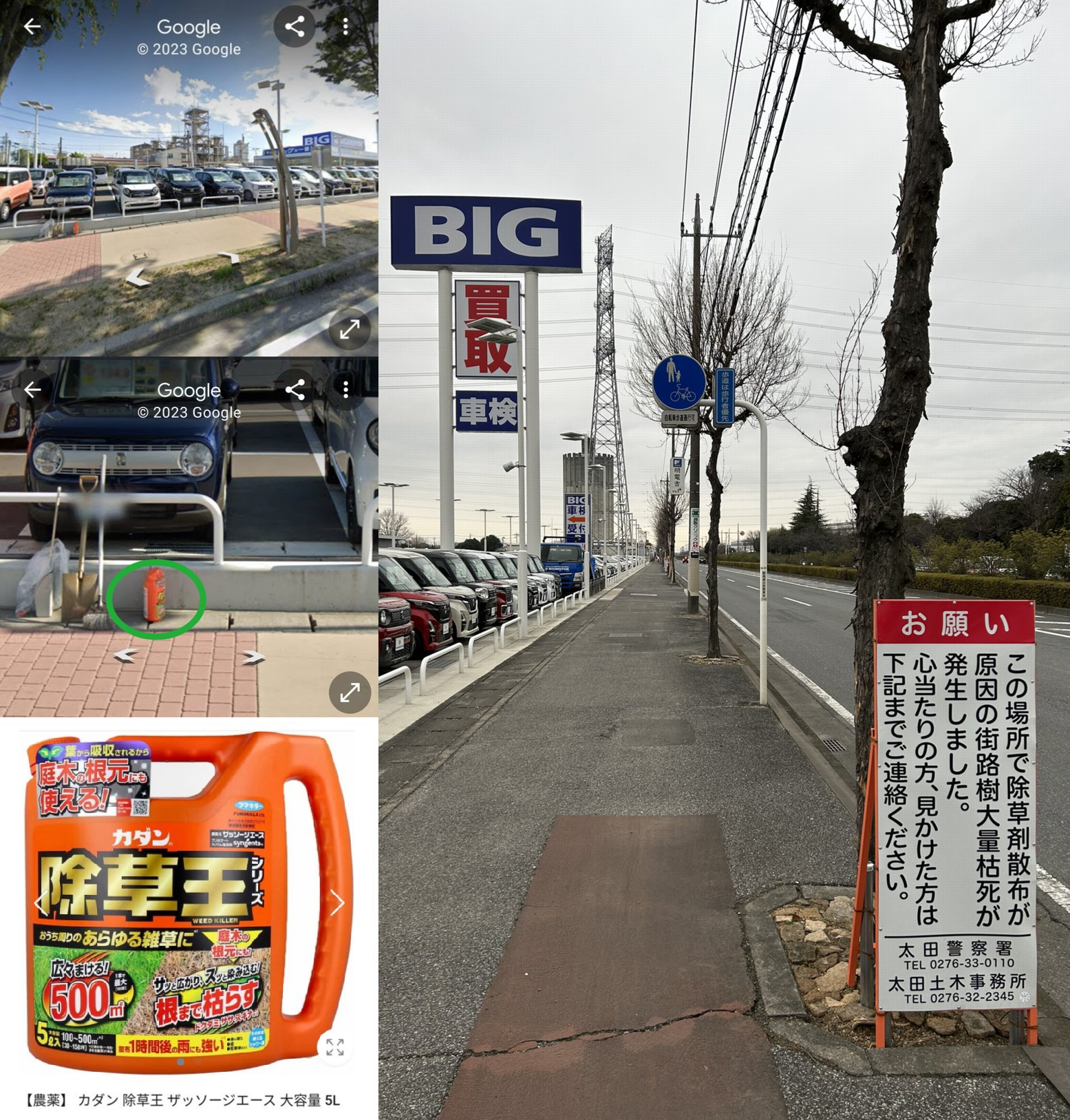 「保険金水増し請求」ビッグモーター、店舗前の街路樹が次々と「枯死」の謎…兼重社長は会見でどう答えた？