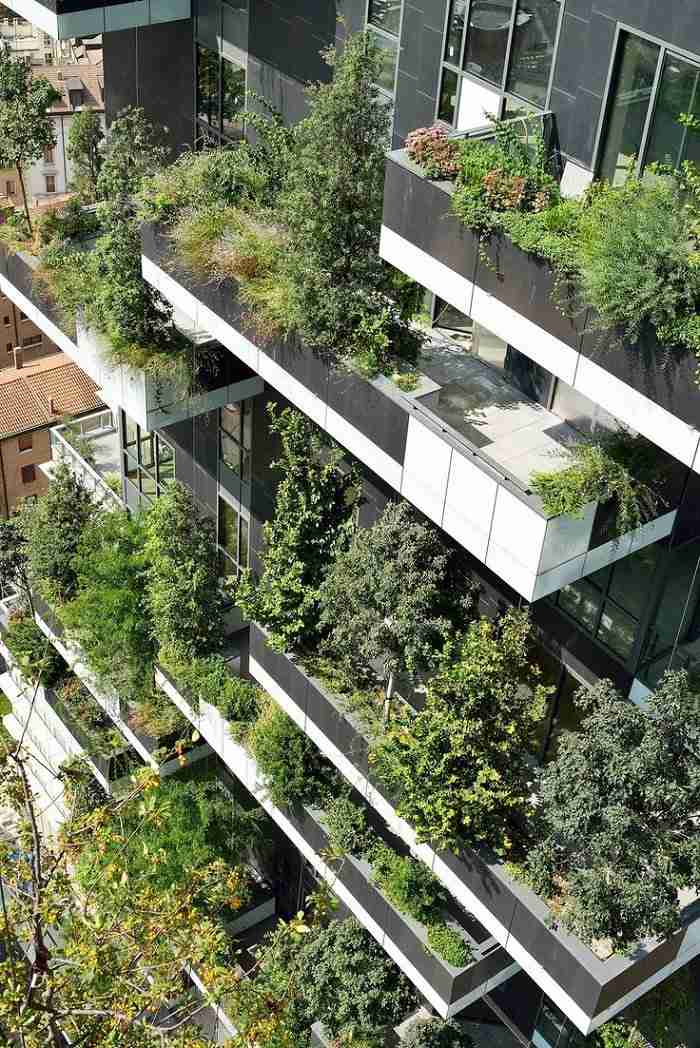 ベランダで育てる鉢植え