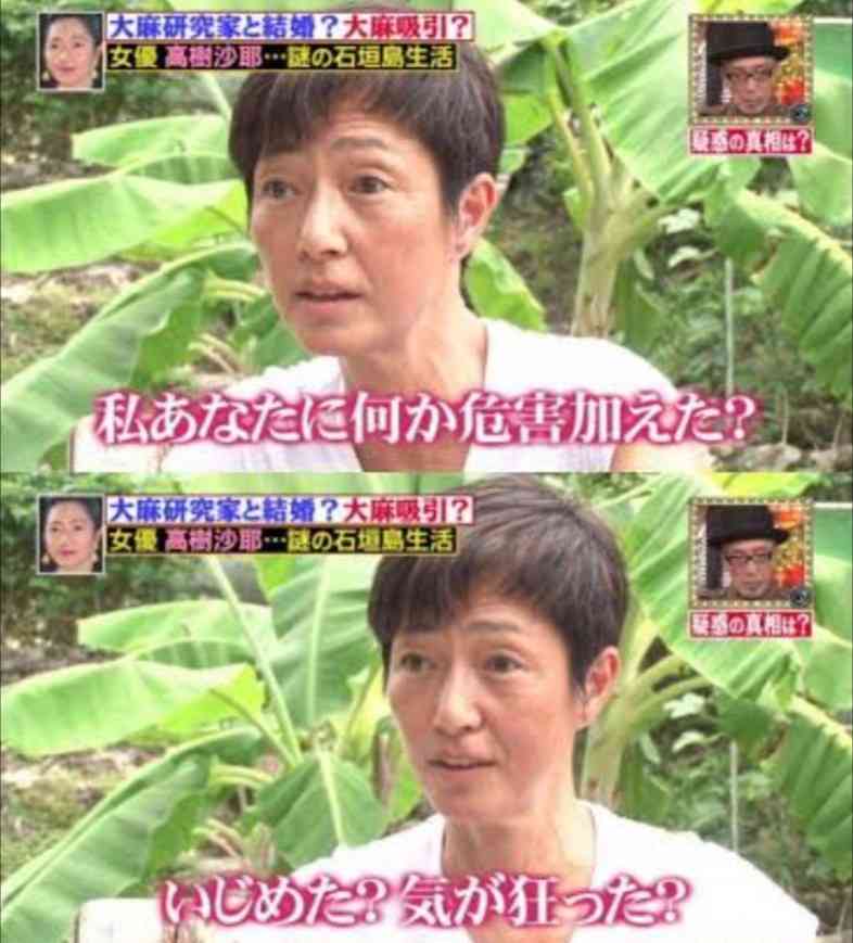 高樹沙耶　虫垂炎で抗生物質処方も「悩むなぁナチュラリストとしては」医療大麻合法化求め参院選出馬も落選　2016年