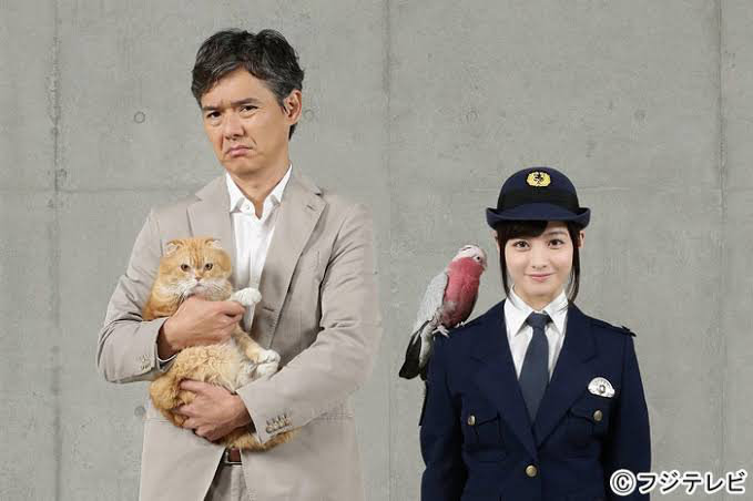 橋本環奈 10月期フジテレビ連ドラの主演内定　公私とも絶好調を支える〝意外な支持層〟