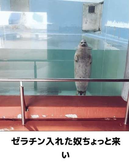 「理想の夏」と「現実の夏」の画像