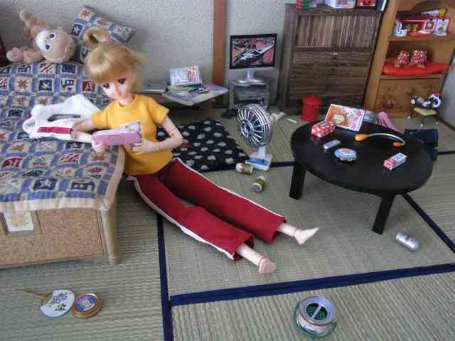 「理想の夏」と「現実の夏」の画像