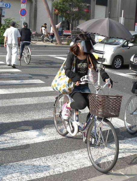 「理想の夏」と「現実の夏」の画像