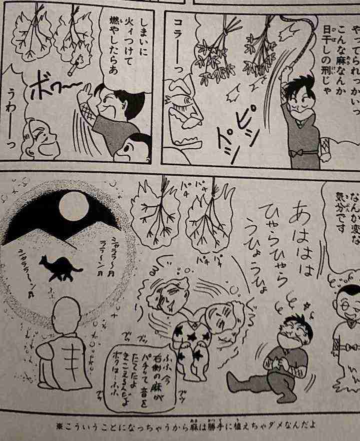 「自宅から男性の頭部」一家全員で関与か…