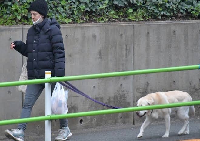 ダイソーのポリ袋が46枚→27枚に　原材料費や物流費の高騰で「販売価格を据え置くために数量を調整」