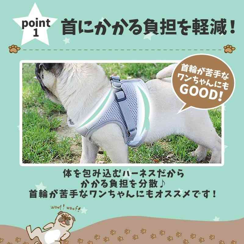 散歩中に歩くのを嫌がる「拒否犬」が話題！　なぜ嫌がるの？　獣医師に聞いてみた