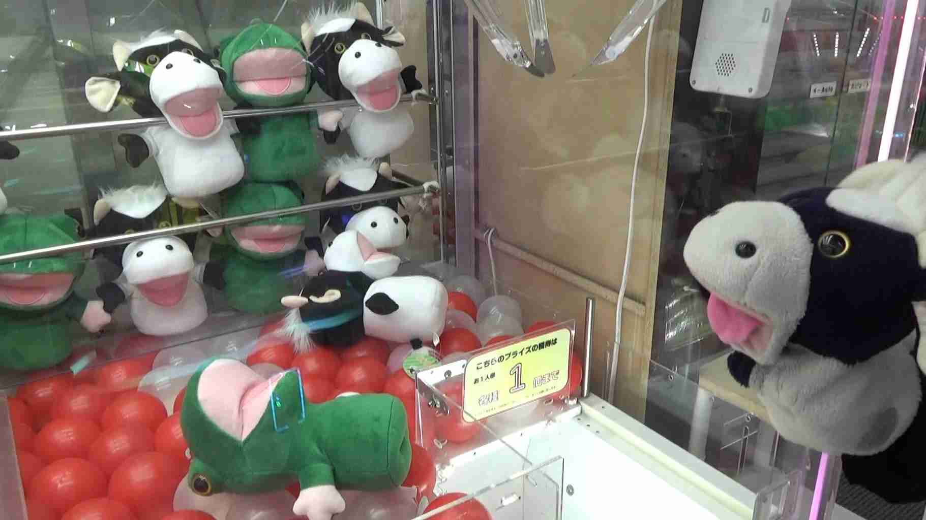 お笑い芸人の好きな画像part4
