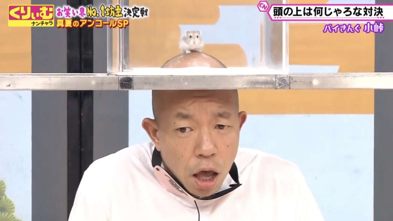 お笑い芸人の好きな画像part4