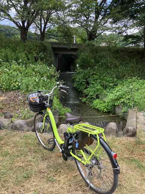 【ドラマ/映画】「美しい彼」を語ろう Part10