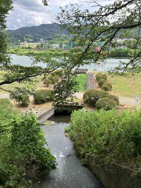 【ドラマ/映画】「美しい彼」を語ろう Part10