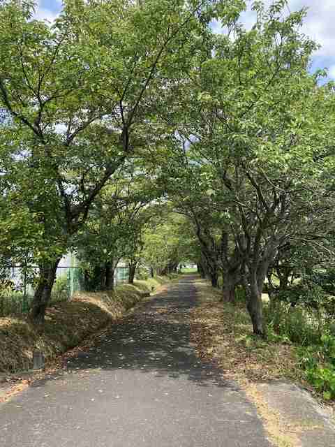 【ドラマ/映画】「美しい彼」を語ろう Part10