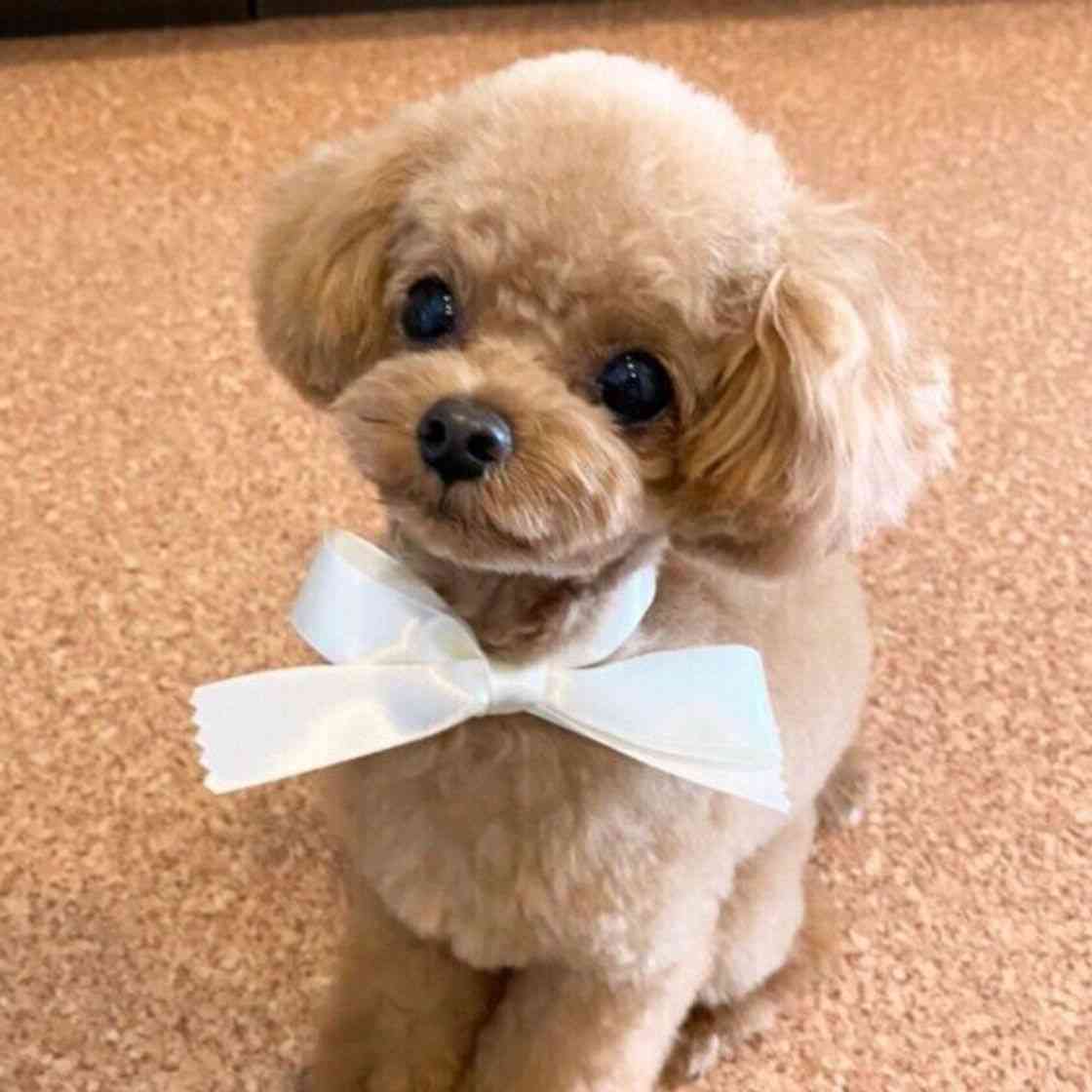 若林正恭、楽屋で一緒になり「ムリだと思った」とドン引きした芸人を暴露「女の子抱いてる～？って」