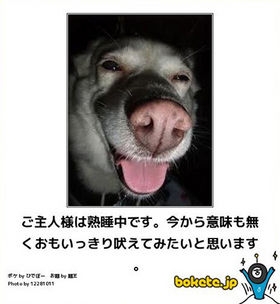 誰か私を笑わせてくださいpart10