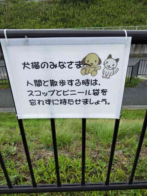 誰か私を笑わせてくださいpart10