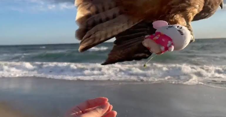 【閲覧注意かも？】衝撃を受けた画像・GIFを貼るトピ