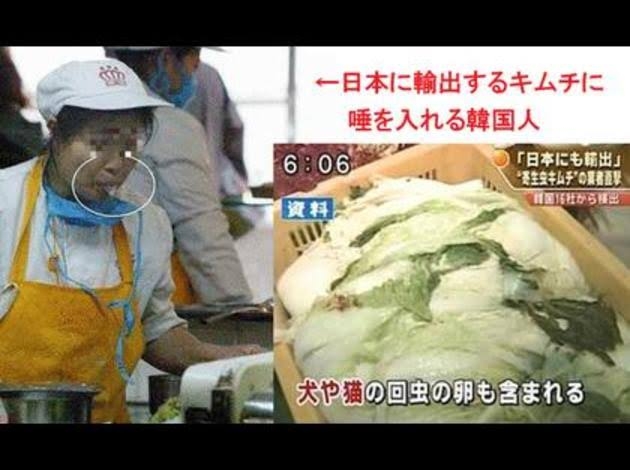 【閲覧注意かも？】衝撃を受けた画像・GIFを貼るトピ