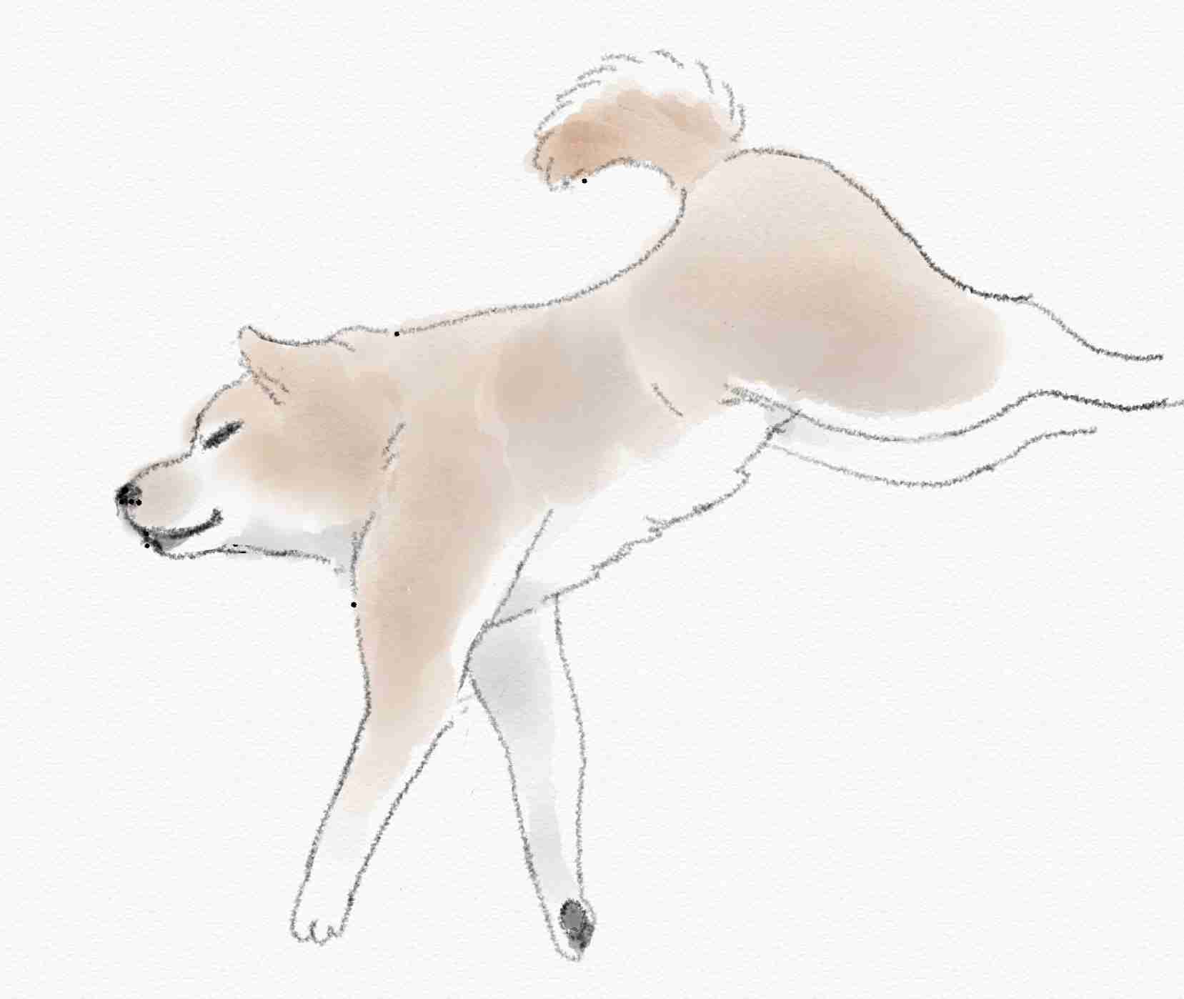 【お絵描き】リクエストPart15