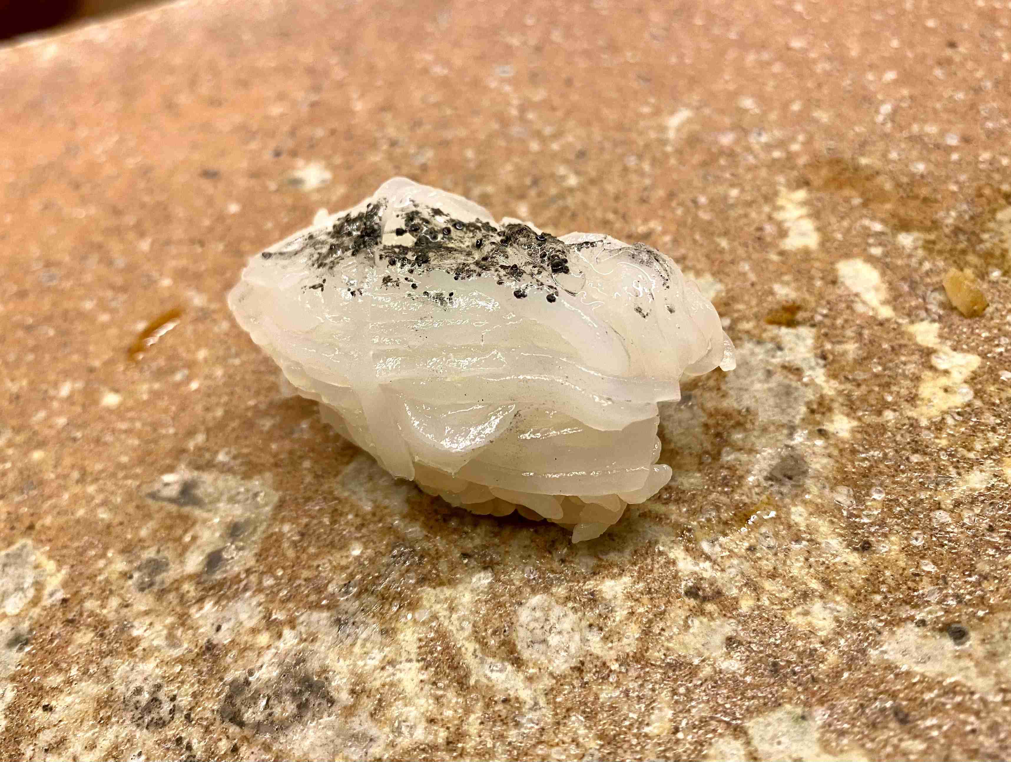 寿司の画像だけ載せたい