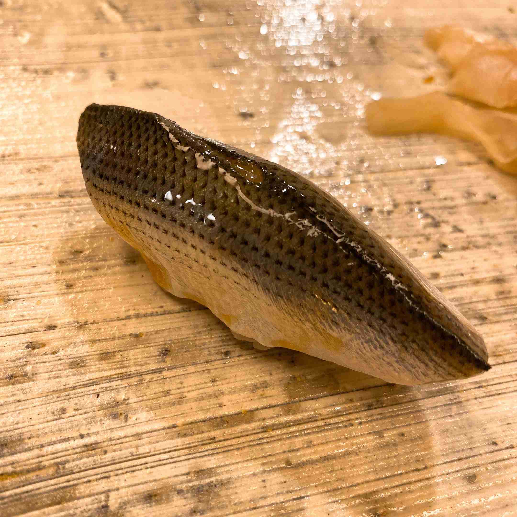 寿司の画像だけ載せたい