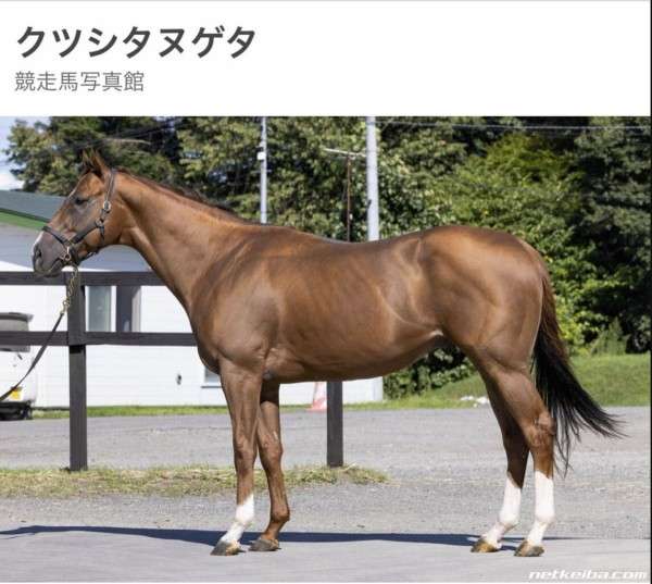 【競馬】UMAJO集まれ！ part 27【アンチ厳禁】