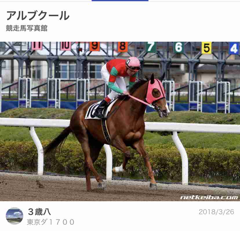 【競馬】UMAJO集まれ！ part 27【アンチ厳禁】